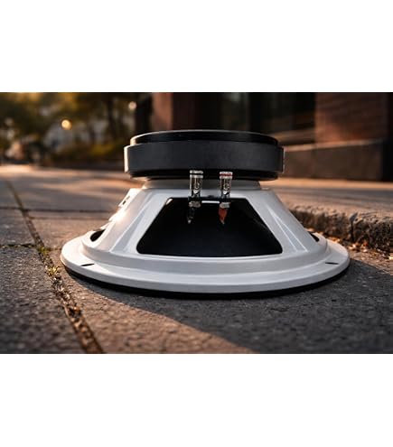 Amazon.com: Resilient Sounds RS NEO 8 400w rms 4ohm 8